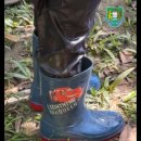 GIS-At Jungle School, our EYC learners step beyond the classroom 이미지