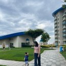 삼정태권도 | 8.18-24(쏠비치 오션플레이, 삼척 삼정식당, 삼척 한재카페, 본베베 아기매트 재구입, 포천 고모리애...