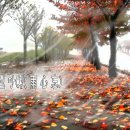 심(心),토닥토닥
