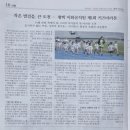 이화유치원 | 평택이화유치원: 얘들아~ 이번엔 원장선생님 3등했다!/ 제1회 이화키즈마라톤대회- 시대신문