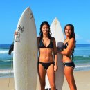 사이언스복싱스포츠센터 이미지