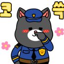 타이어몰(주) 이미지