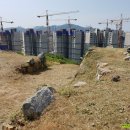 창원 주의수 묘 이미지