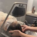 수지헤어 | 수지 미용실 이유 헤어&amp;헤드스파 두피클리닉 대만족 후기