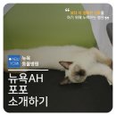뉴욕동물병원 이미지