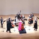 독일 베를린 챔버 오케스트라 이미지