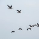 연륙교부동산 | 인천 가볼만한곳 새롭게 만난 (청라 하늘대교) (2026-2-15)