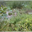 대물낚시 이미지