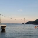 송도해수욕장 이미지