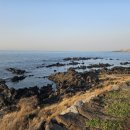 어울림게스트하우스 민박 | 제주도게스트하우스파티 어울림25 공항에서 가까워 도착하자마자 들를 수 있었고, 숙소 앞이 무지개...