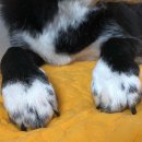 형님저예요 이미지