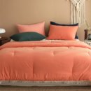 수퍼캐롯 이미지