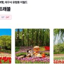 다이나믹트래블 이미지
