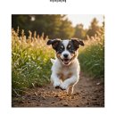 비비퍼피 강아지분양 일산점 이미지