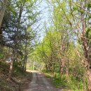 동량초 서운분교 이미지