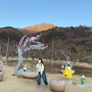 노랑지붕민박 이미지