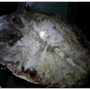 우석헌자연사박물관 이미지