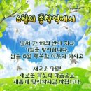 6월 28일(일) ‘하루 7~8시간 자야 한다?’…27만명이 수면을 바꾼 상식 이미지
