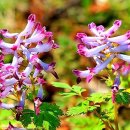 (주)청민 - 1652 | (주)청민