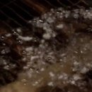 천선식당 이미지