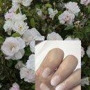 백석역(3호선) | 유지력 좋은 백석역 네일샵 네일누와 솔직후기