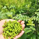 라라농장 이미지