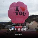 한타 부산판매 | 부산근교 대구근교 눈썰매장 19개월 아기와 청도 무아마운틴파크 솔직 후기