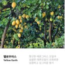 🎁 회사결혼답례품 추천 | 향기 좋은 트리트 멀티스프레이로 센스 있게 준비하기