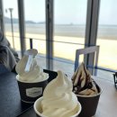 수양목장 | [대부도 맛집 _ 배터지는집 , 바지락칼국수로 배터질뻔한집 진짜 배터지는집 내돈내산 후기]