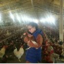 닭사랑농장 이미지