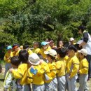 늘푸른숲 이미지