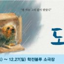 도도캣 이미지