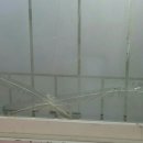 세종맑은약국 이미지