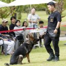 큰행복약국 이미지