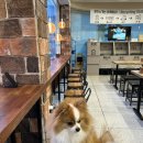 불광역(3) 화장실 | 불광역 애견동반 가능한 돈까스 맛집 인생돈카츠 불광본점