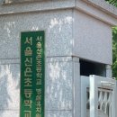 서울신은초등학교 | [강의] 서울 양천구 신은초 병설유치원 생태전환교육 연수 강사로 다녀왔어요