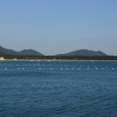 월송리 약수터 이미지