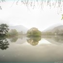 영산 연지못 이미지