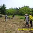 병호농장 이미지