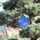 브릭민박 이미지