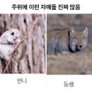 몽키마트