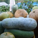 쌍암농장 이미지