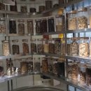 신정네거리한의원 이미지