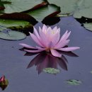 함주공원 이미지