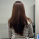 세븐일레븐 창원상남광동점 | 창원 미용실, 손질 편한 레이어드컷 비비드헤어 상남점