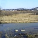 고목나무 이미지