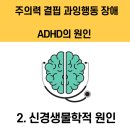 박형배 | 결핍 과잉행동장애의 원인 / ADHD와 관련된 장애 / ADHD 치료 / 내가 경험한 ADHD 치료 사례 및 후기 /