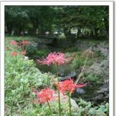 대창초등학교 이미지