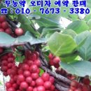 신의농장 이미지