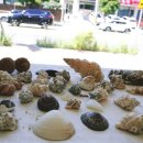 서동아서점 이미지